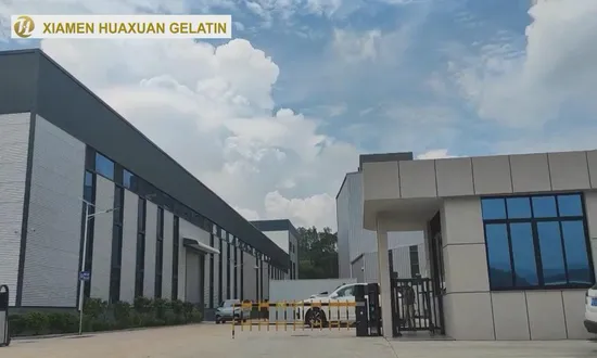 Bovine Peptide Nutraceutical Hydrolyzed Collagen Powder