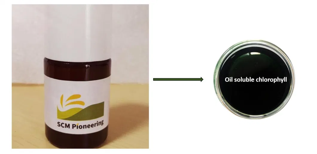 Natural Colorants Oil Soluble Chlorophyll for Food, Pharmaceutical