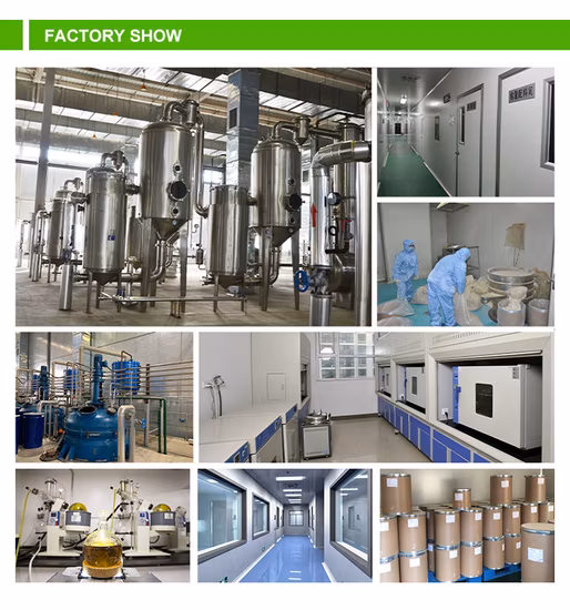 Hohes 100 % 80 % 70 % Pflanzenextrakt-Hefe-Beta-Glucan-Pulver