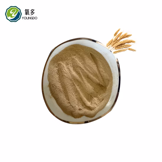 Proteinreiches Hefeextraktpulver in Lebensmittelqualität von höchster Qualität